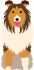 shetlandsheepdog